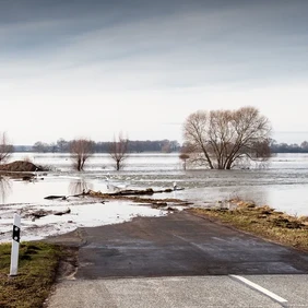 Warum wir handeln müssen